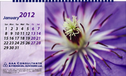AAA Consultants_Desk Calendar_2012, Design by Probir Chakravarty artndesignbd, artndesign, ArtnDesign, ArtnDesignbd, Art n Design, Art Direction, Creative Design, Probir Chakravarty, Graphic Design, Desk Calendar.