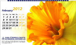 AAA Consultants_Desk Calendar_2012, Design by Probir Chakravarty artndesignbd, artndesign, ArtnDesign, ArtnDesignbd, Art n Design, Art Direction, Creative Design, Probir Chakravarty, Graphic Design, Desk Calendar.