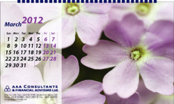 AAA Consultants_Desk Calendar_2012, Design by Probir Chakravarty artndesignbd, artndesign, ArtnDesign, ArtnDesignbd, Art n Design, Art Direction, Creative Design, Probir Chakravarty, Graphic Design, Desk Calendar.