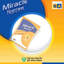 Miracle Maize_Gif artndesignbd, Probir Chakravarty, Design, Gif